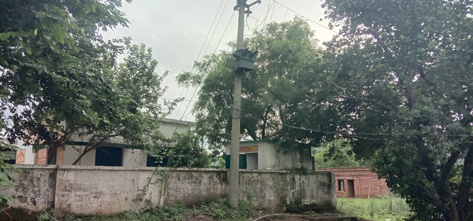 बिजली के बिना डर के साए में जी रहे ग्रामीण